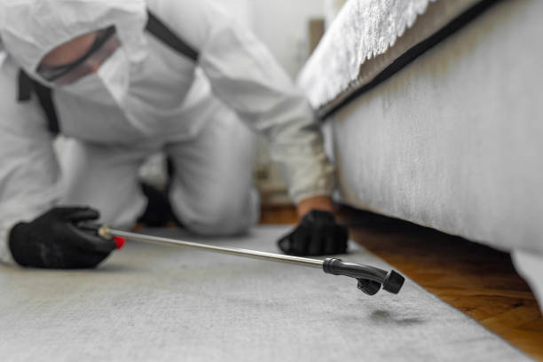 Professional Pest Control technician working in Iron County County, MI